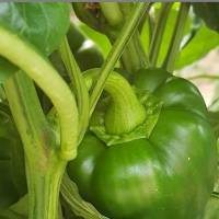 WhatsApp Image 2019-05-10 at 12.13.50(1)