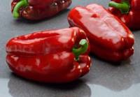 WhatsApp Image 2019-05-10 at 12.13.54